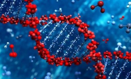 ДНК тест - на скрывают гены?